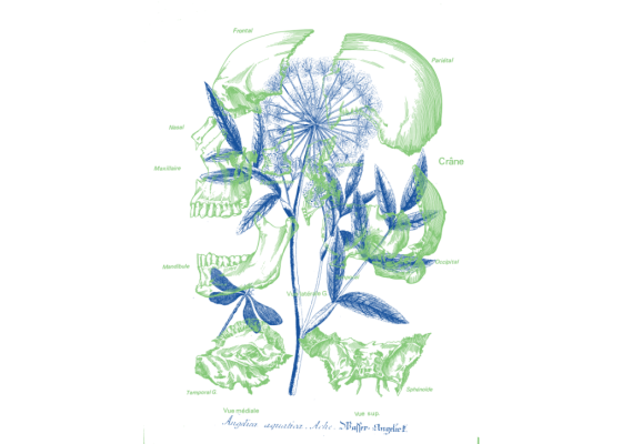 Visuel La Chute, histoire d'un châtiment silencieux ?